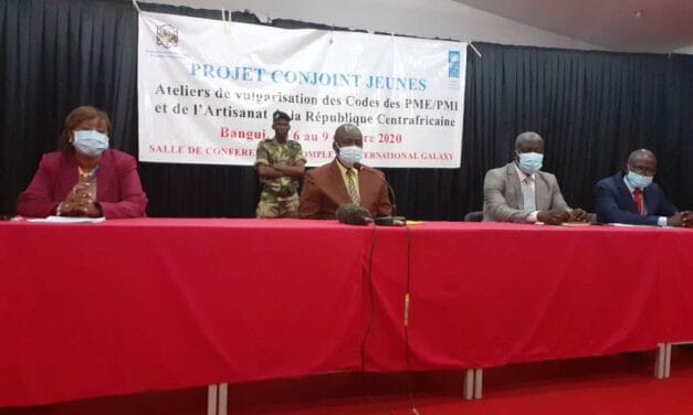 Centrafrique : Les Lois portant code des PME/PMI  et l&rsquo;Artisanat désormais vulgarisées