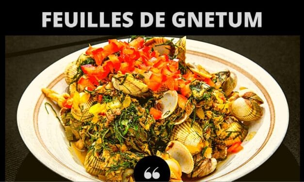 Centrafrique: Quand le koko (feuille de Gnetum) s&rsquo;est invité au festival Food Temple Afrika à Paris