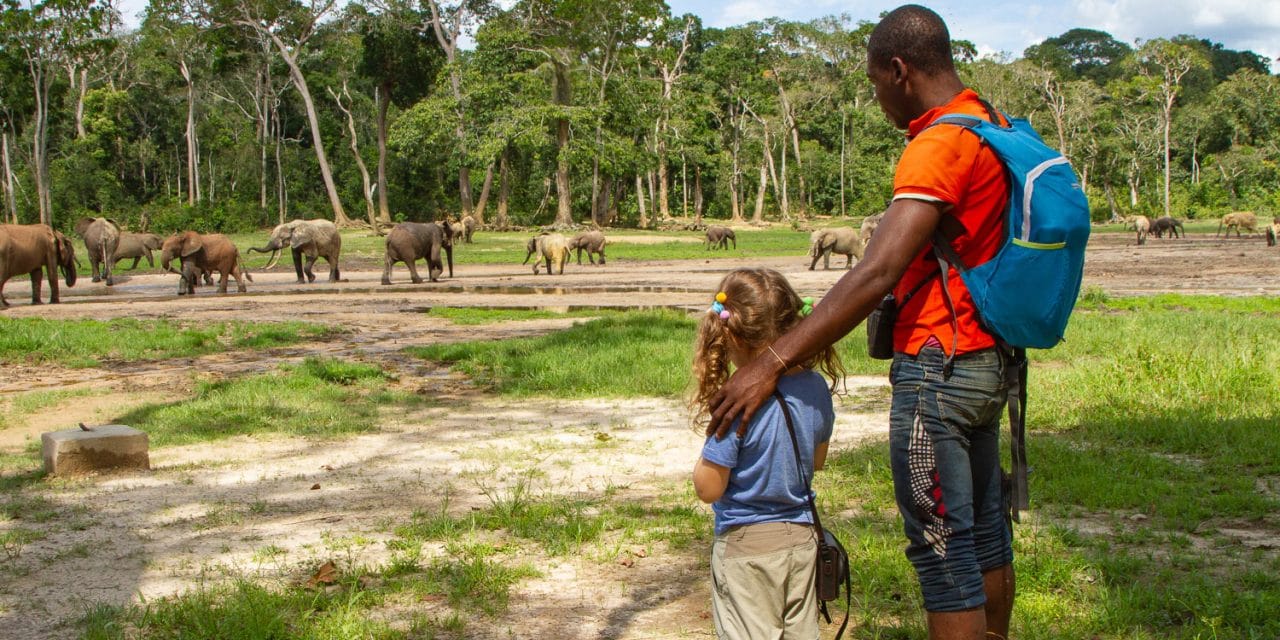 Centrafrique : Relève difficile des activités touristiques à Bayanga