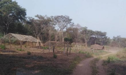 Centrafrique : La flambée des violences a contraint plus de 55.000 personnes à fuir