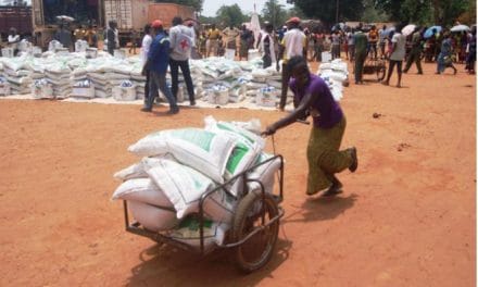 Le CICR distribue des produits alimentaires aux victimes de Grimari