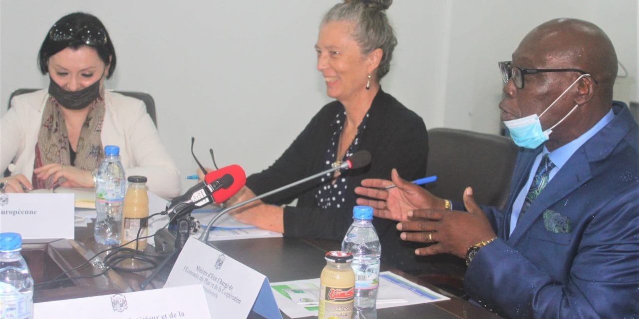 Centrafrique: Réunion du comité directeur conjoint du RCPCA-CEM