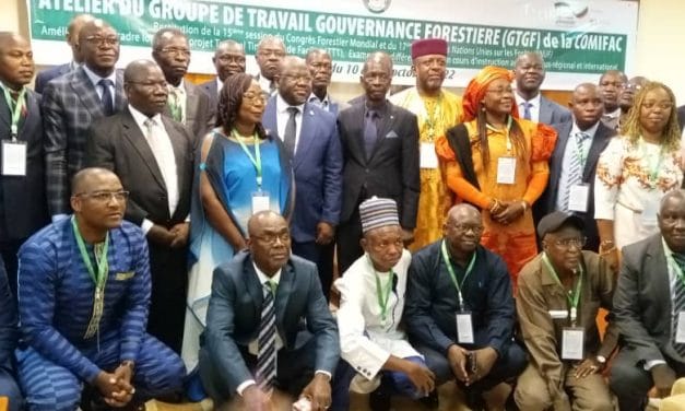 Grande réunion des membres du GTGF de la COMIFAC à Bangui