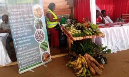 Centrafrique : La 4e édition du Salon International des Créateurs d&rsquo;Emploi organisée à Bangui