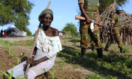 Centrafrique : L’ONU tire la sonnette d’alarme sur une possible aggravation de l’insécurité alimentaire dans le nord