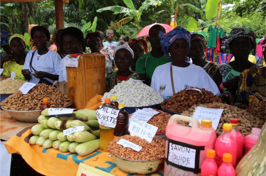 Centrafrique : La Banque mondiale accroît son financement en faveur de la sécurité alimentaire