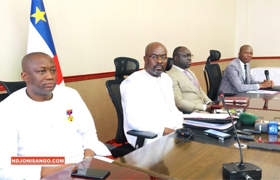Centrafrique : la DNC référendaire annonce la publicationofficielle du projet de la nouvelle Constitution