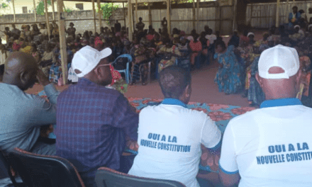 Centrafrique : la plateforme Bé-oko se lance dans la campagne référendaire