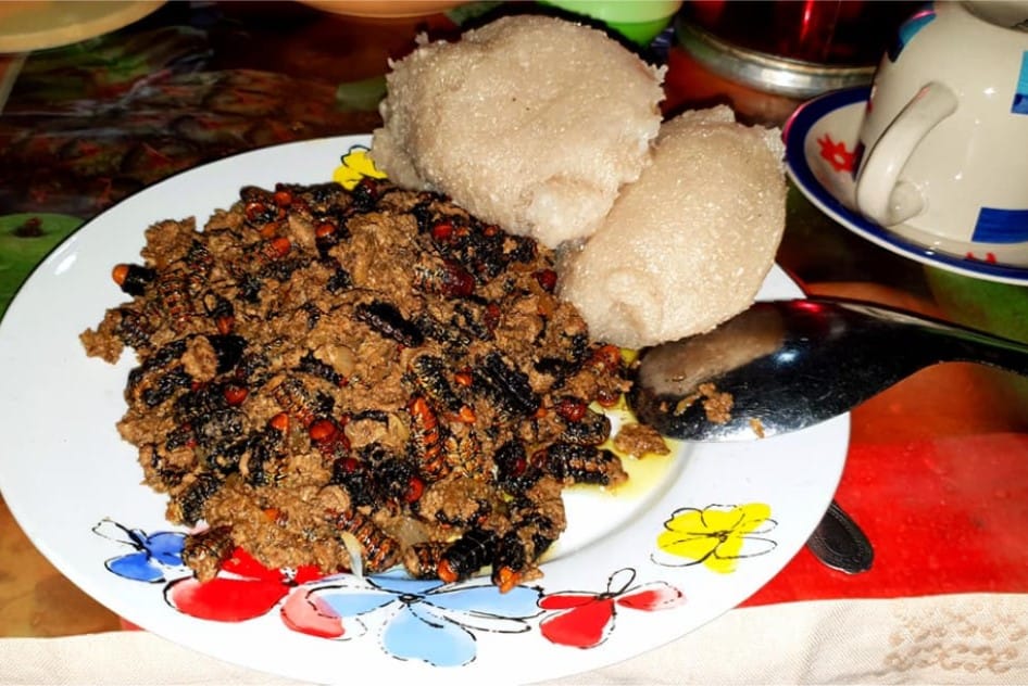 Centrafrique : Makongo « chenille » dans les assiettes des Centrafricains
