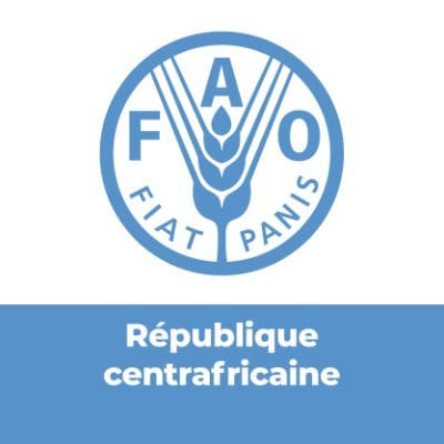 RCA : Avis d’offre de la FAO pour l’acquisition des porcins (3200 truies et 800 verrats)