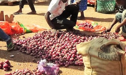 Centrafrique : Qu&rsquo;est-ce qui justifie la rareté de l’oignon sur les différents marchés de la capitale?