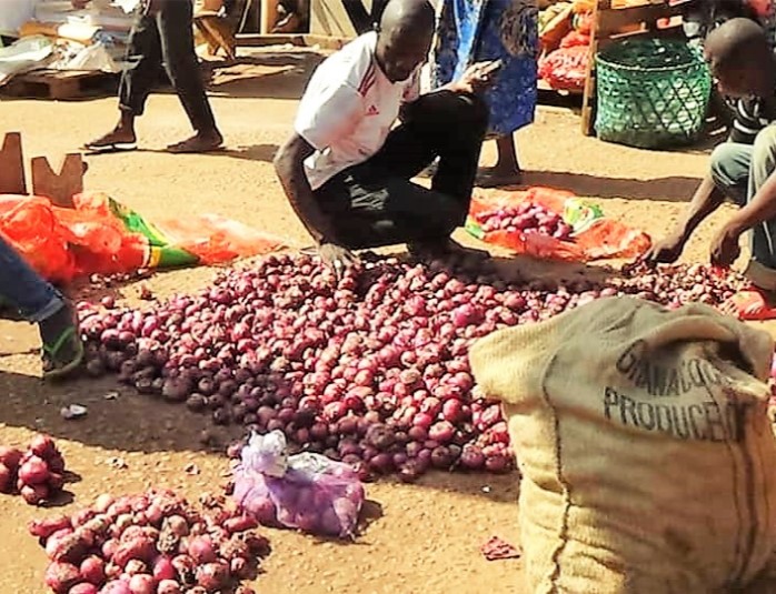 Centrafrique : Qu’est-ce qui justifie la rareté de l’oignon sur les différents marchés de la capitale?
