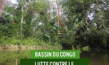 Les scientifiques appellent à une investigation de taille sur le bassin du Congo