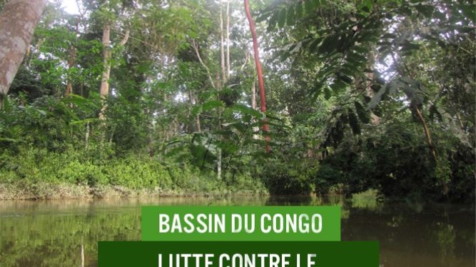 Les scientifiques appellent à une investigation de taille sur le bassin du Congo