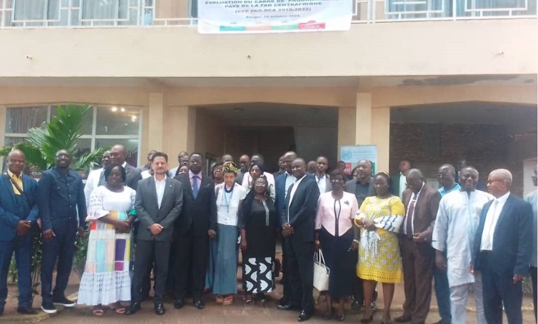 Centrafrique : Le Gouvernement et la FAO envisagent améliorer les rendements agricoles de 2024-2027