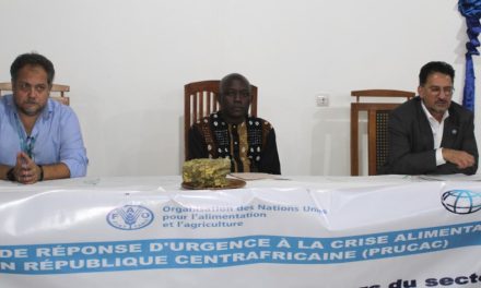 Centrafrique : Le gouvernement et la FAO se penchent sur la commercialisation et distribution de semences de qualité en Centrafrique