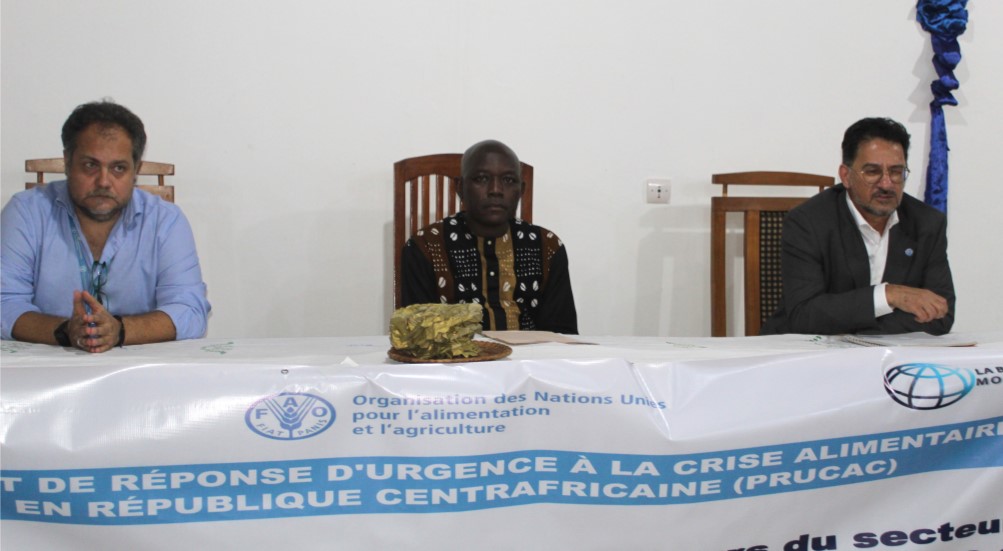 Centrafrique : Le gouvernement et la FAO se penchent sur la commercialisation et distribution de semences de qualité en Centrafrique