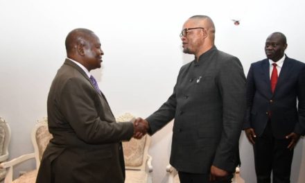 La RCA et la RDC renforcent leur coopération sécuritaire