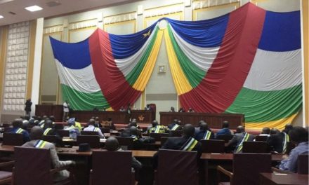 Centrafrique : Un groupe de la société civile de la sous-région plaide pour l&rsquo;accroissement des dépenses du gouvernement pour la santé de la reproduction