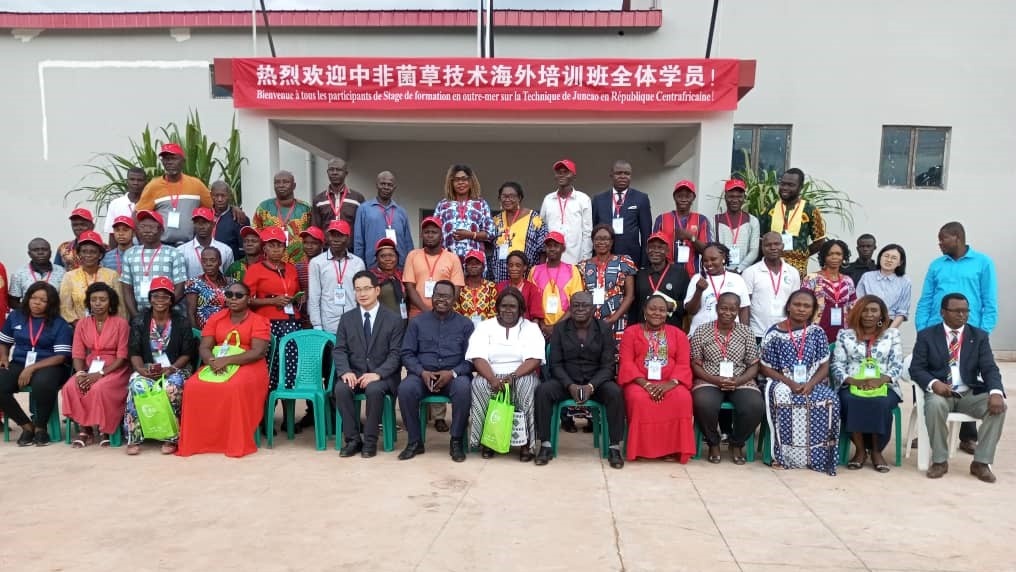 Centrafrique : La République populaire de Chine appuie le ministère de l’agriculture sur la Technique de Juncao