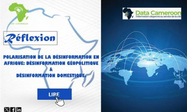 Vers la polarisation de la désinformation en Afrique