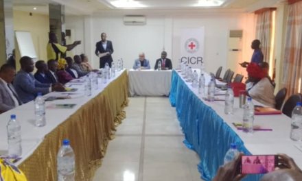 Centrafrique : le CICR renforce la capacité des magistrats en droit international humanitaire