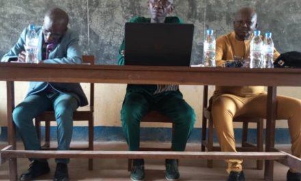 Centrafrique : L&rsquo;Ensemble Artistique national dénonce des diffamations dont il fait l’objet
