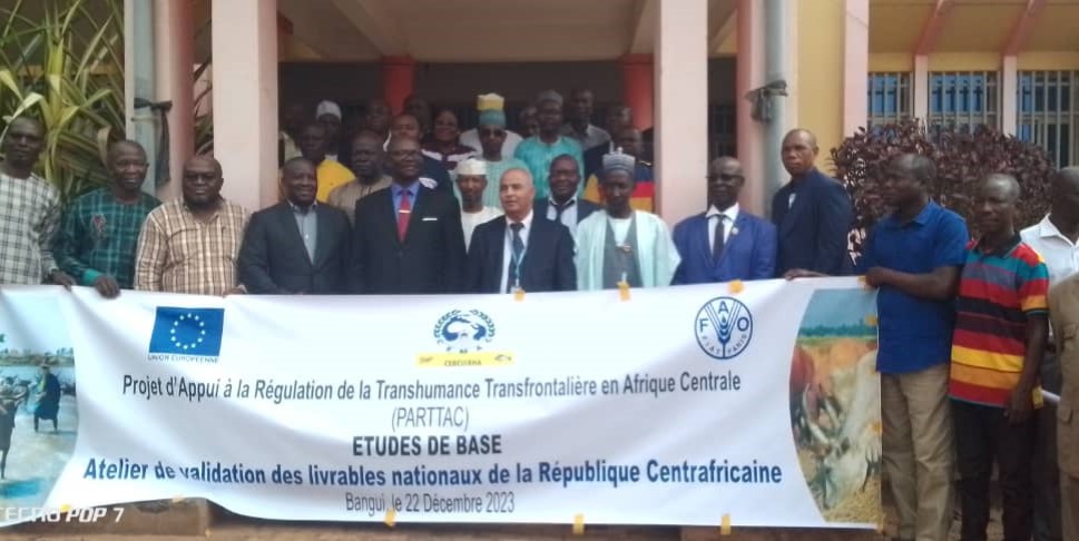 Centrafrique : Diagnostic de la pratique de la transhumance transfrontalière