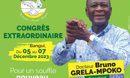 Centrafrique : Qui conduira la destinée du parti RDC miné  par des divisions?