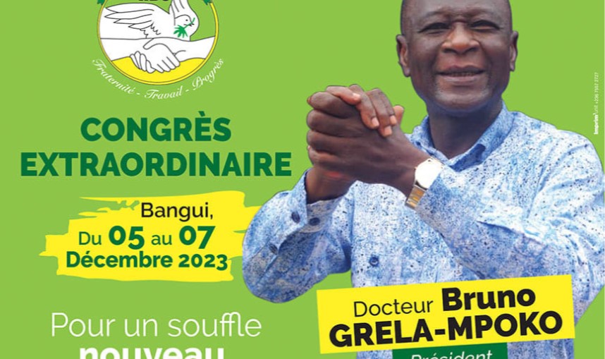 Centrafrique : Qui conduira la destinée du parti RDC miné par des divisions?