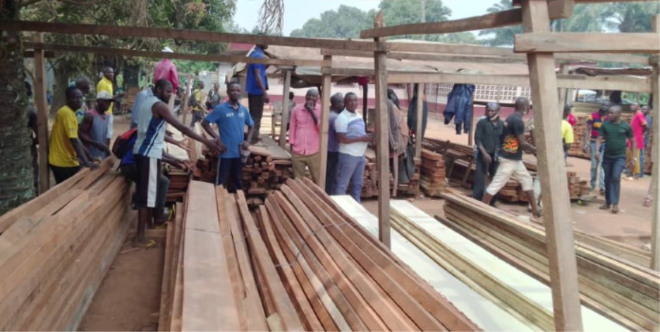 Centrafrique: Mécontentement des membres de l’association « amis bois » contre la société Centra Bois