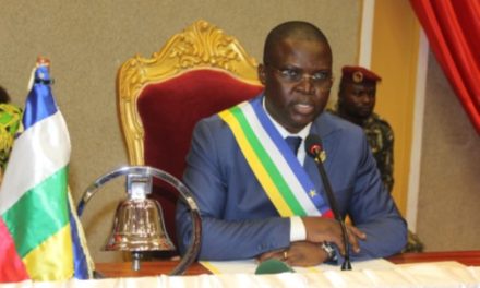 RCA : Adoption de plusieurs lois, harmonisées à la nouvelle constitution du 30 aout 2023