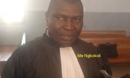 Centrafrique : Verdict tombe dans l&rsquo;affaire de la société Centra Bois contre des exploitants illégaux