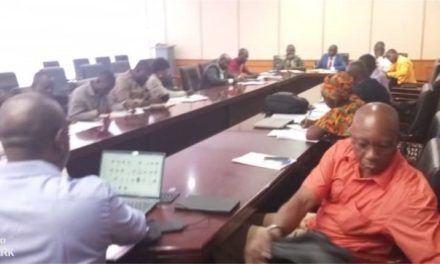 Centrafrique : consultation du projet de Gouvernance Numérique du Secteur Public