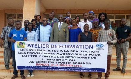 Centrafrique : des professionnels des médias  imprégnés sur la lutte contre les désordres de l&rsquo;information