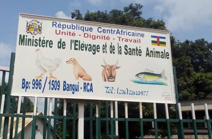 Centrafrique: Appel à Manifestation d’Intérêt : Consultant individuel Projet Elevage et Appui aux Jeunes ( PEAJ)