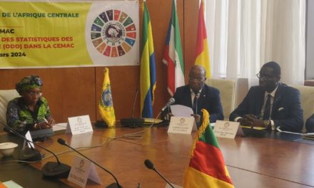 Elaboration du reporting des statistiques relatives aux ODD en zone CEMAC