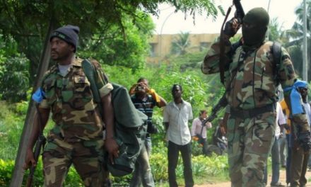 Centrafrique : Des opérations militaires contre les groupes armés au nord et centre du pays