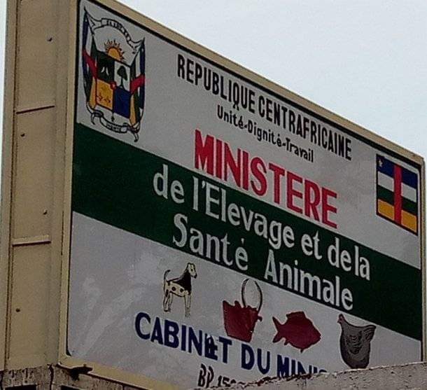Centrafrique: Appel à manifestation d&rsquo;intérêt: Recrutement d&rsquo;un Cabinet pour le recrutement et la mise en place d&rsquo;un logiciel de gestion de formation de personnel