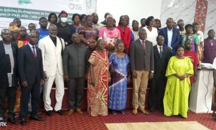 Centrafrique : lancement des activités du Plan National d’Adaptation 2024-2025 au changement climatique