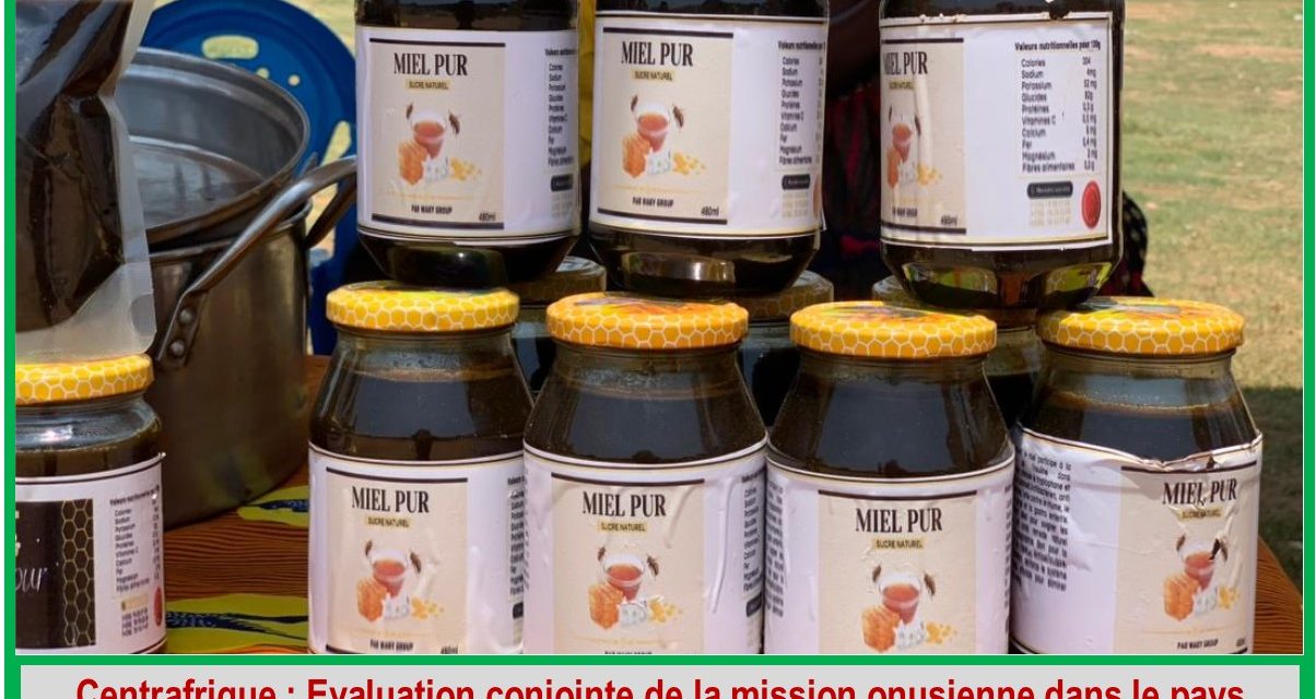Centrafrique : Une foire apicole à Bangui pour valoriser la production locale de miel de qualité