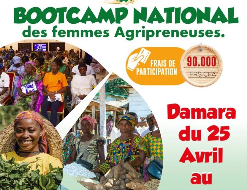 Centrafrique : Bootcamp national des femmes agripreneuses