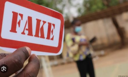 La désinformation, une arme de déstabilisation en Centrafrique malgré la lutte