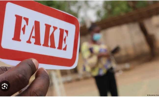 La désinformation, une arme de déstabilisation en Centrafrique malgré la lutte
