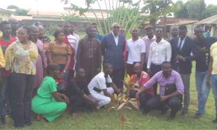Centrafrique: L’agence Victory Lionheart  forme des jeunes entrepreneurs sur la communication gagnante