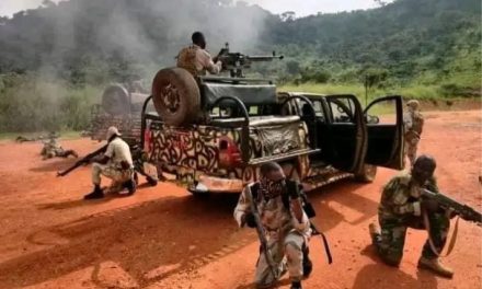 Centrafrique: Poursuite des opérations militaires dans le Haut-Mbomou