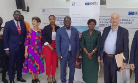Centrafrique: le gouvernement et ses partenaires satisfaits des activités du PAPEUR