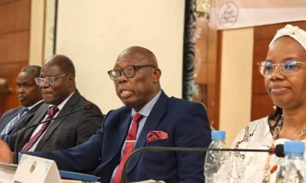 Centrafrique : Le gouvernement cherche à lever au moins 4 milliards de FCFA pour financer le RGPH-4