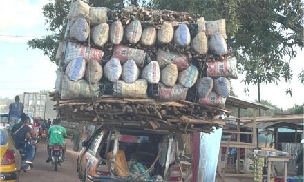 Centrafrique: Incompréhension autour d’interdiction d&rsquo;exportation de bois et charbon domestique