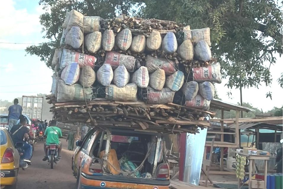 Centrafrique: Incompréhension autour d’interdiction d’exportation de bois et charbon domestique